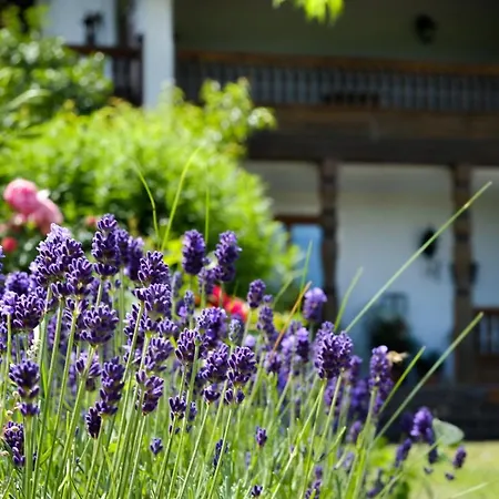 Konukevi Gaestehaus Hofer 3*