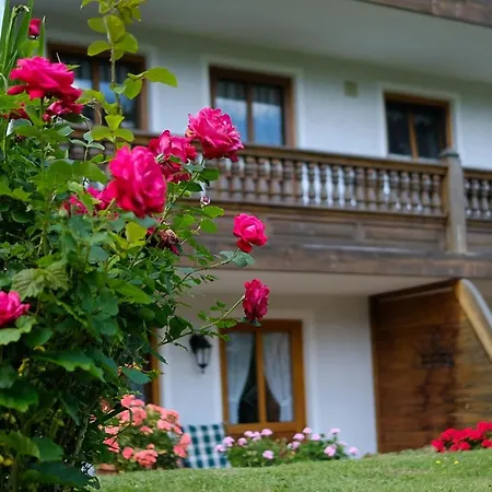 Gasthof Gaestehaus Hofer