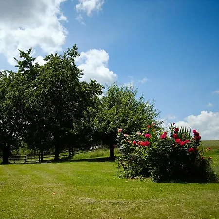 Πανσιόν Gaestehaus Hofer 3*