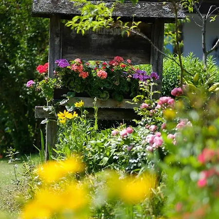 Gaestehaus Hofer Guest house
