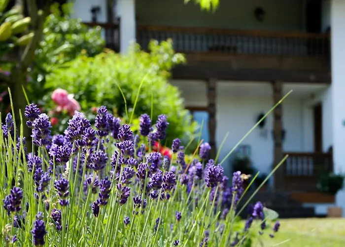 Guest house Gaestehaus Hofer 3*