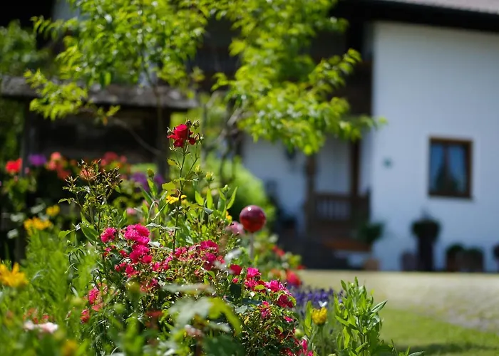 Guest house Gaestehaus Hofer 3*